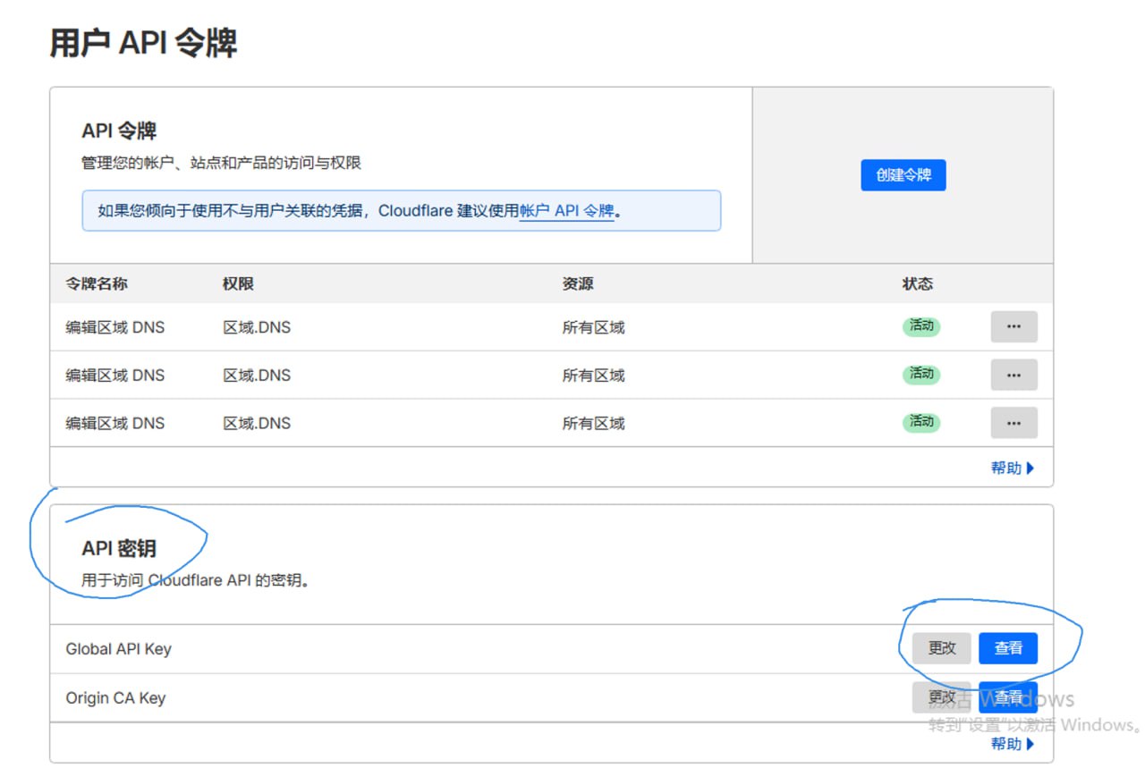 获取dnsapi接口